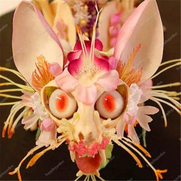 орхидейные богомолы