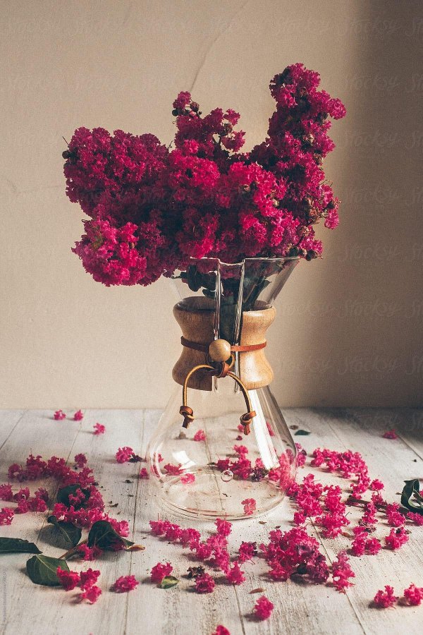 цветочки эстетика