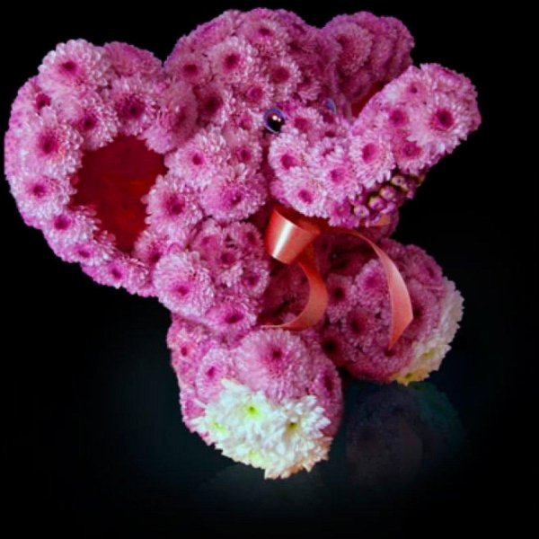 розовые мишки