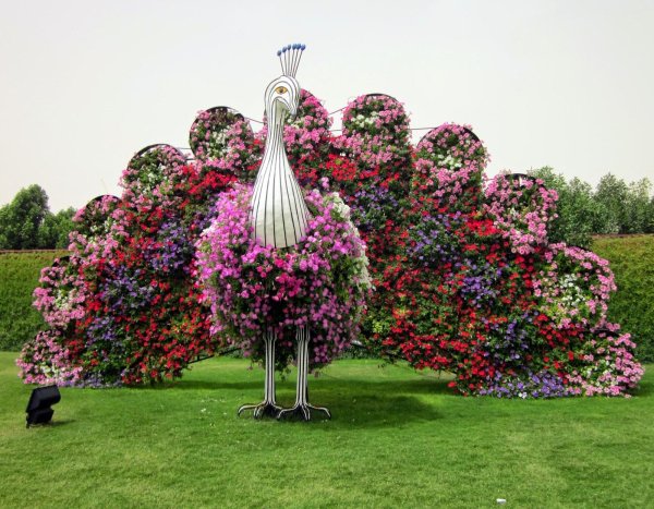 dubai miracle garden