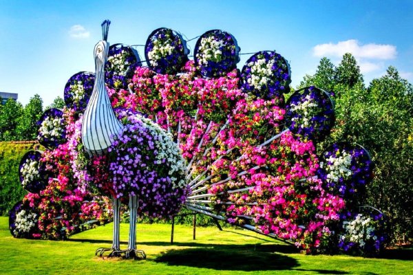 dubai miracle garden