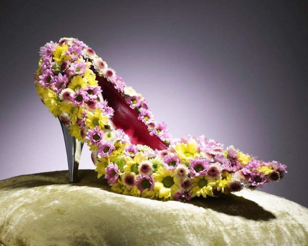 цветок туфелька