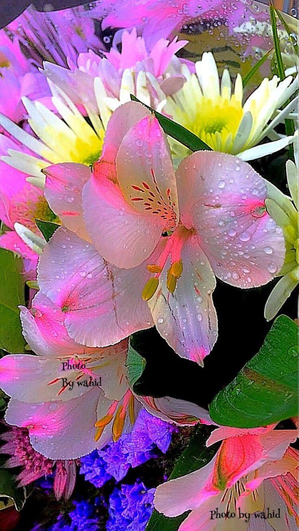 цветок экзотический