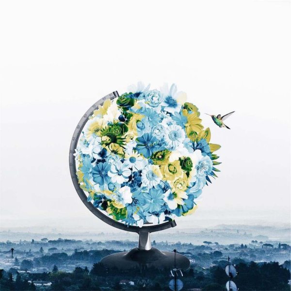 луиза азеведо