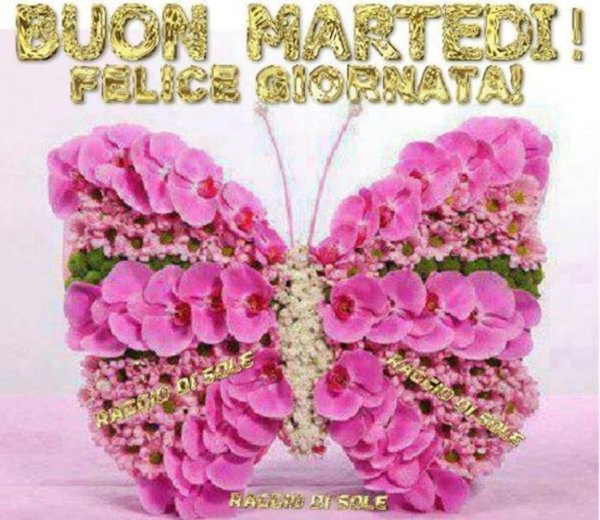 оригинальные цветы