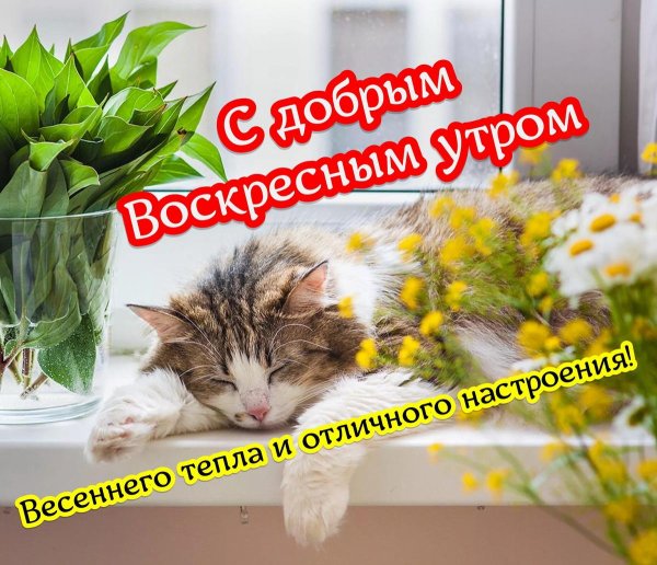 весна доброе утро