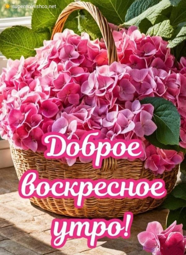 добрейшего воскресенья