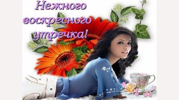 приятного воскресного дня