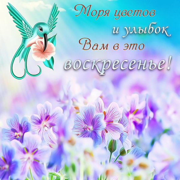 цветочные фоны