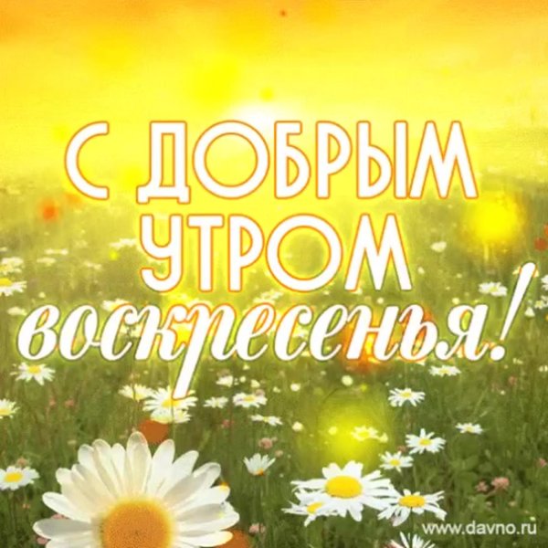 доброе летнее утро воскресенья