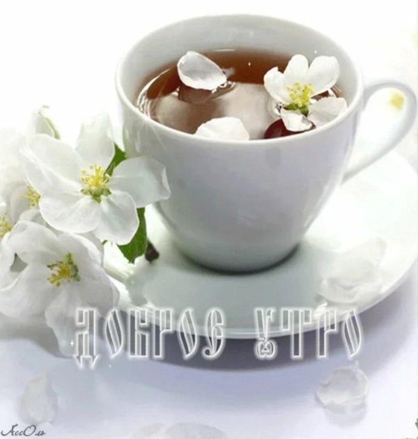 нежного утра