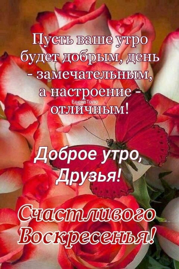доброе утро будьте счастливы