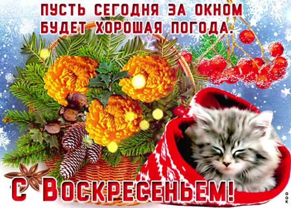 пожелание хорошего воскресенья