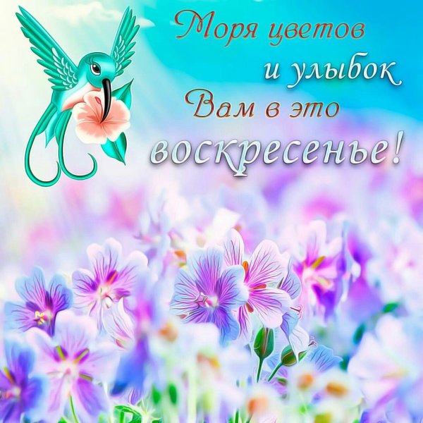 цветочные фоны