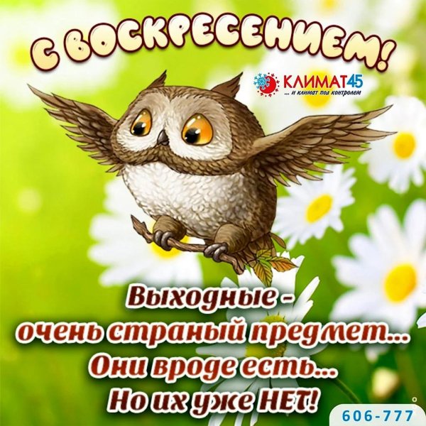 добрейшего воскресенья