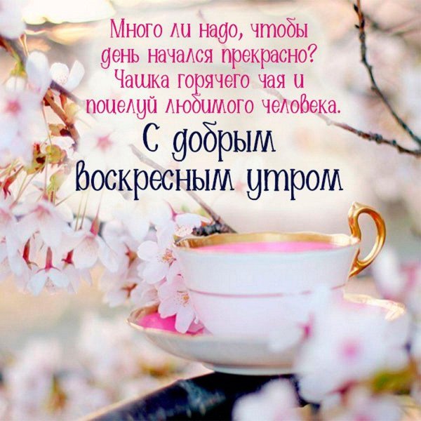 пожелание с добрым весенним утром