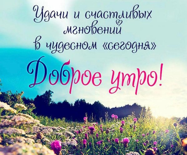 летняя природа