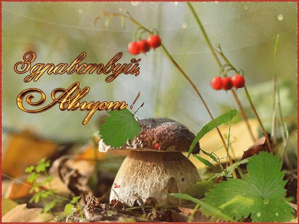 тит листопадник