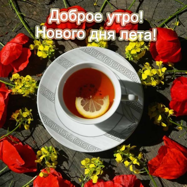 добрейшего летнего утра