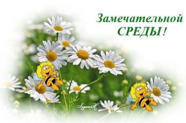 замечательной среды