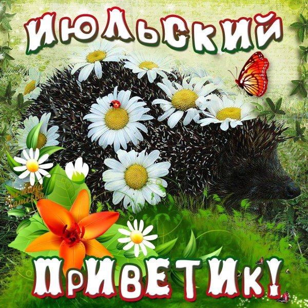 летний приветик