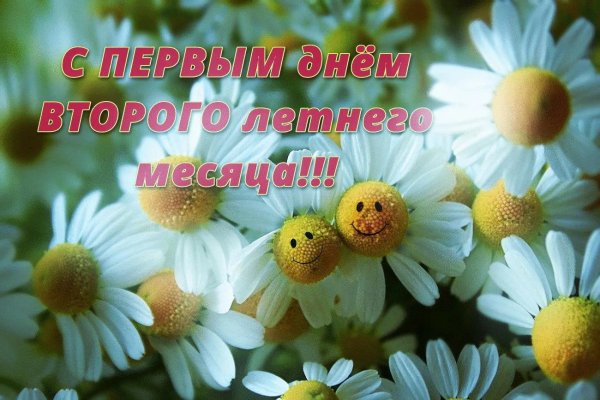 веселая ромашка