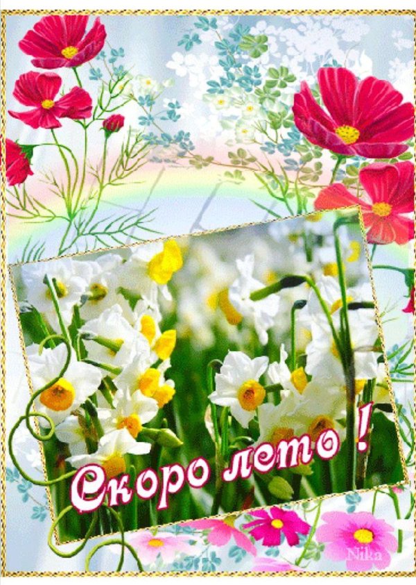 здравствуй лето