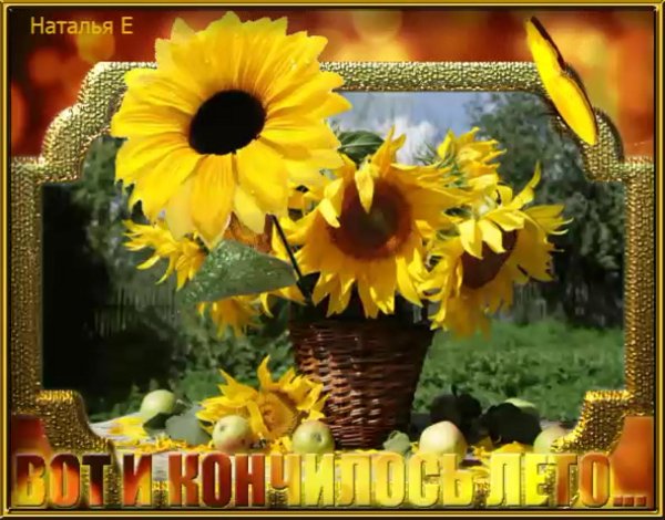 31 августа доброе утро до свидания лето