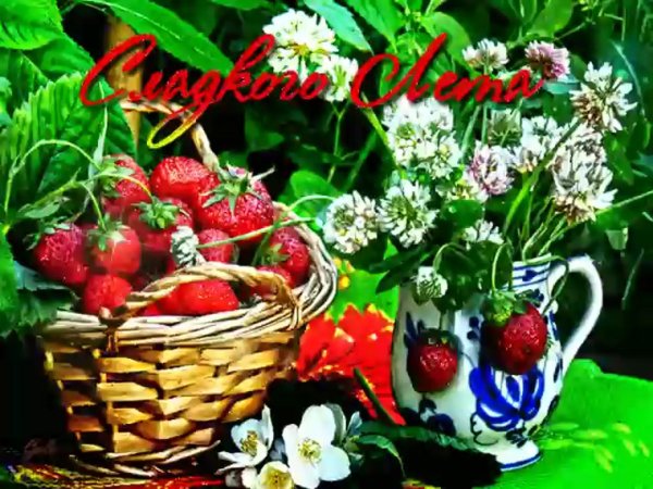 прекрасного летнего дня и хорошего настроения