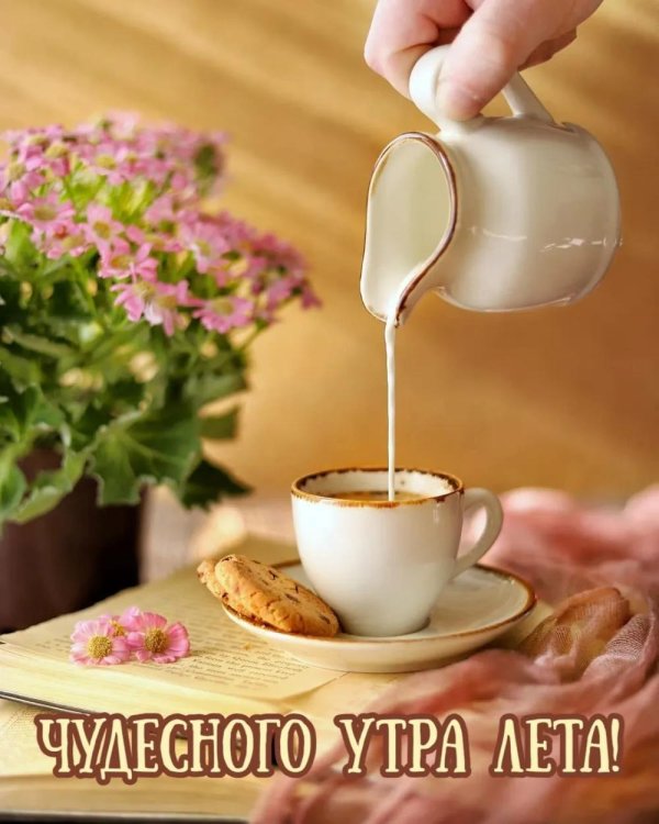 чудесного утра