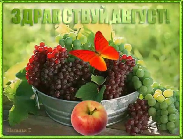здравствуй август