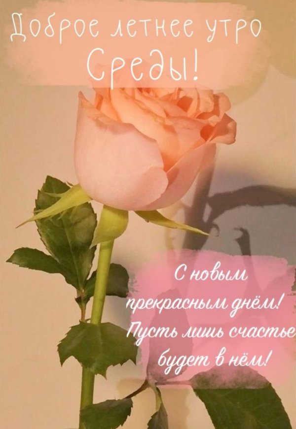 доброго утра среда