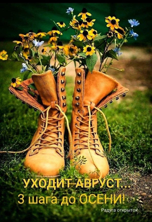 цветы в ботинках