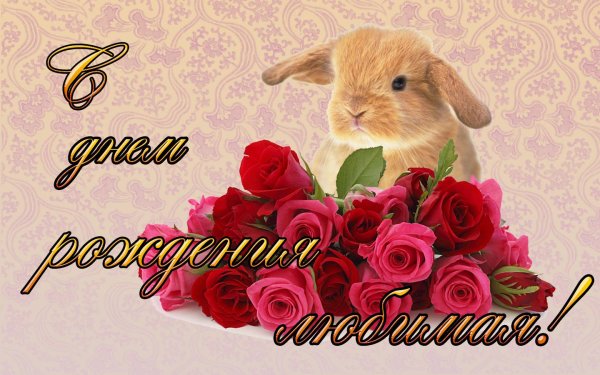 с днём рождения любимой женщине красивые