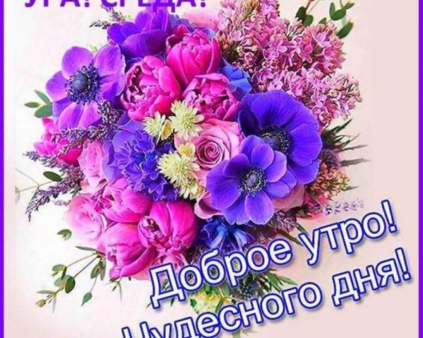 доброе утро ниночка цветы