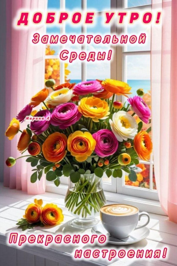 замечательной среды