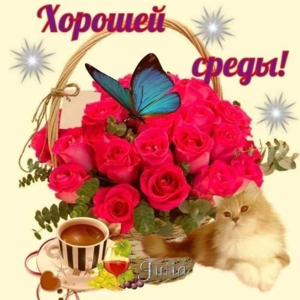 прекрасной среды