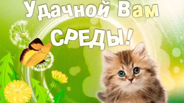 прекрасной среды