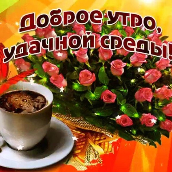 замечательной среды