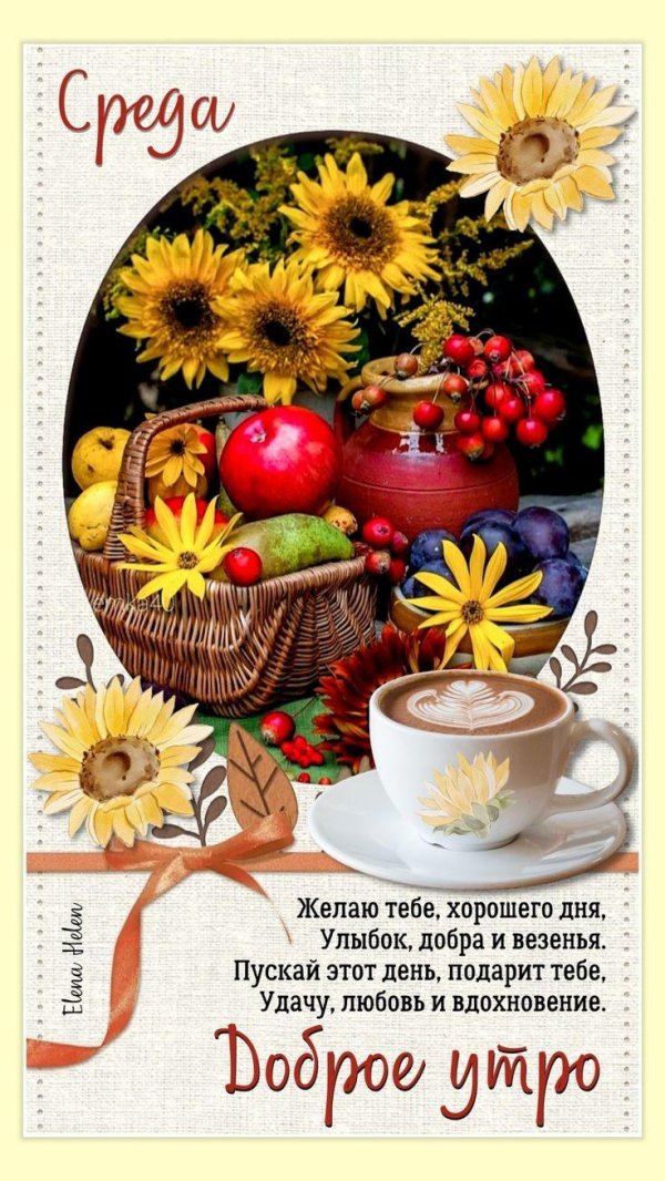 добрый день доброе утро