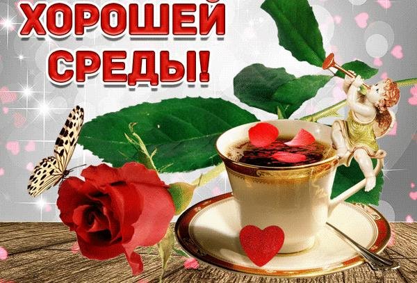 успешной среды