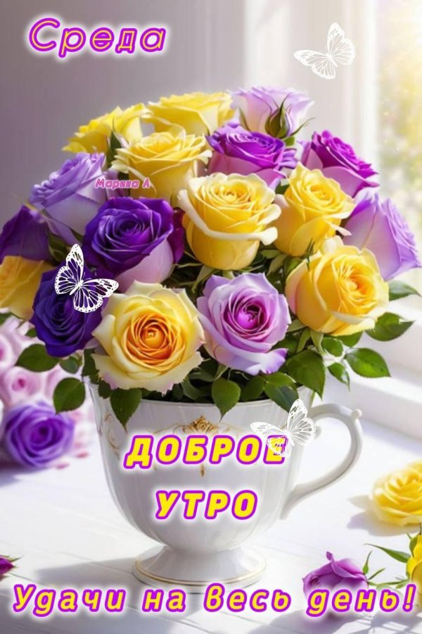 среда доброго утра