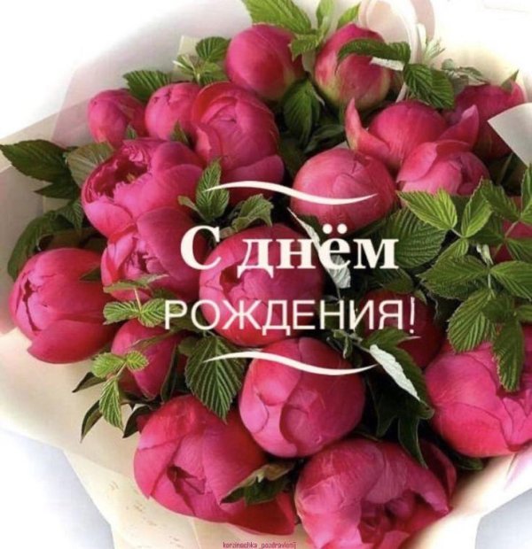 цветы день рождение