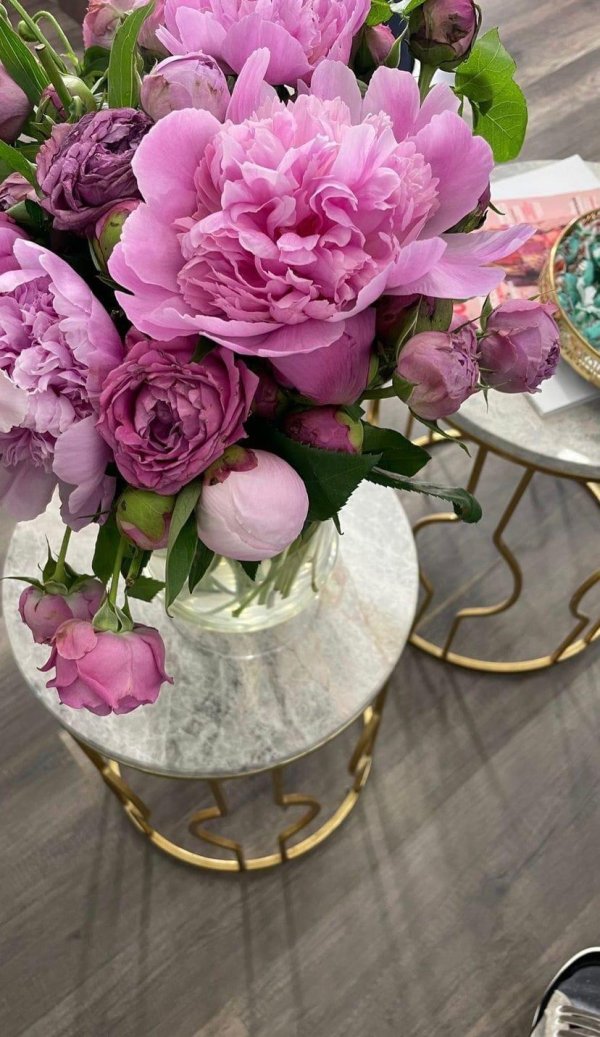 цветок пион