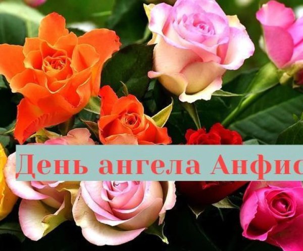 роза флора даника