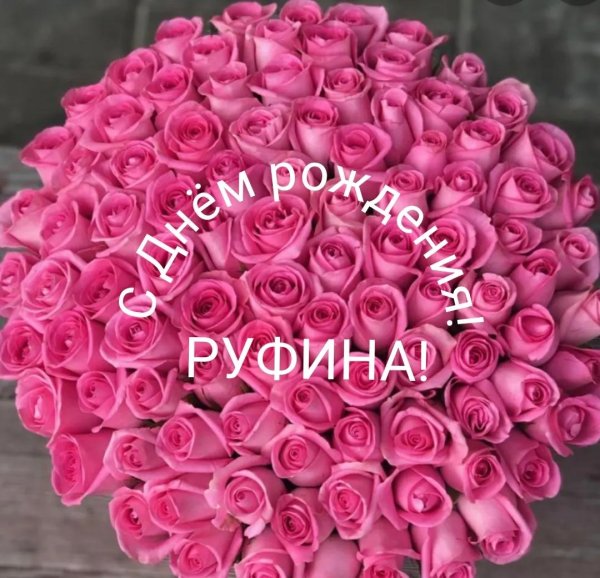 101 розовая роза