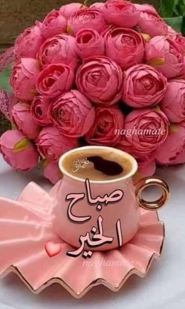 марианна локшина цветы