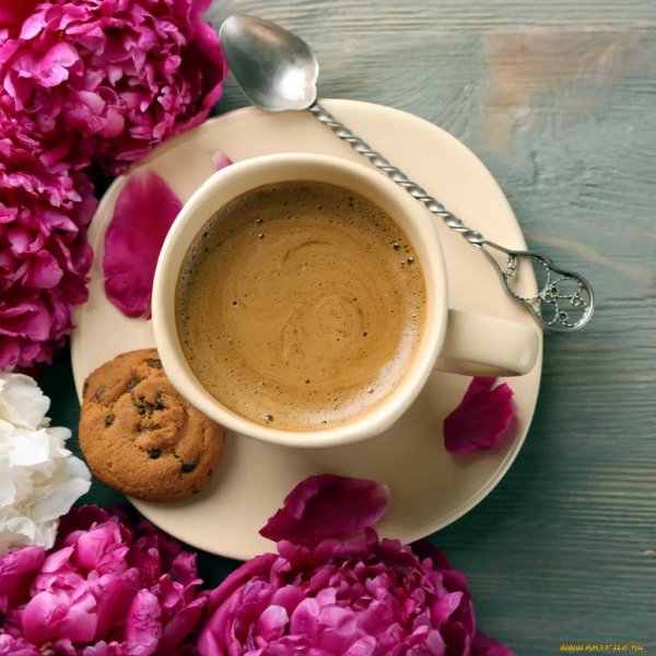 кофе цветы печенье