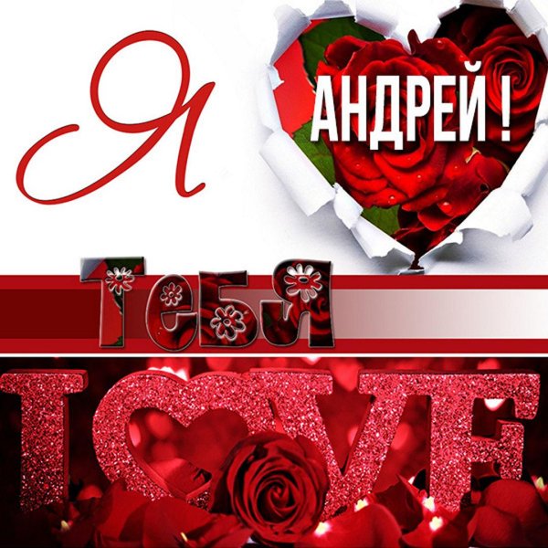люблю андрея
