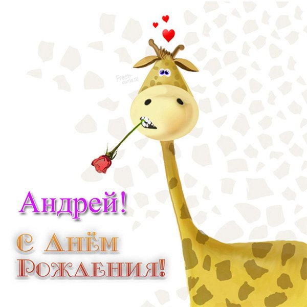 с день рождения андрей